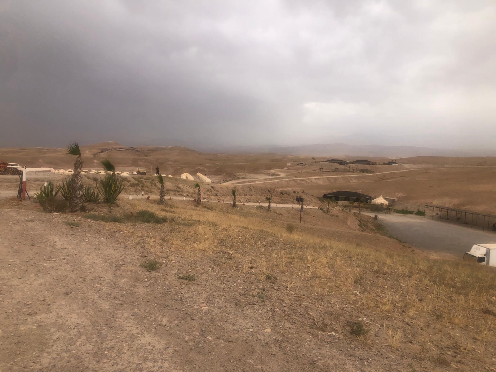 Desert landscape with scattered tents and palm trees under a cloudy sky.